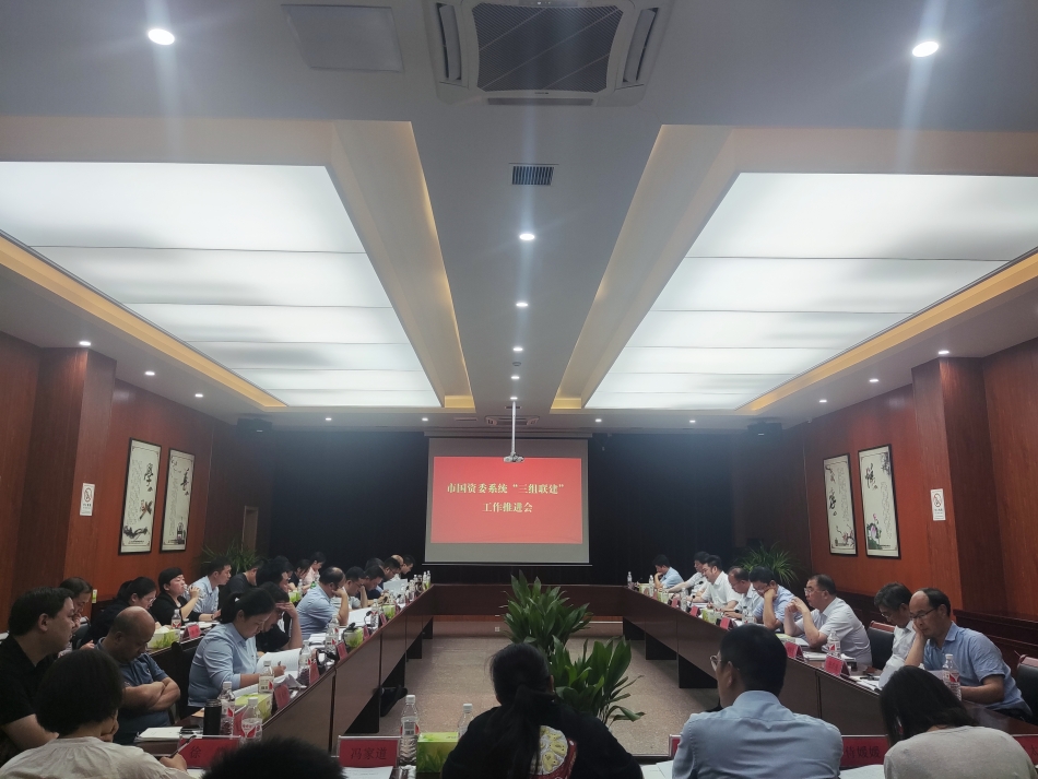 2024年7月17日，市國資委系統(tǒng)在公司開展“三組聯(lián)建”現(xiàn)場觀摩（推進(jìn)會(huì)）_副本